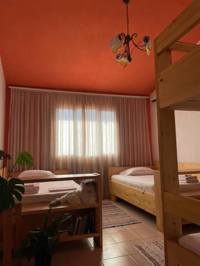 Cozy Big Apartment With Balcony Tirana Exteriör bild
