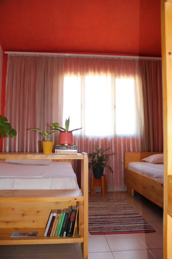 Cozy Big Apartment With Balcony Tirana Exteriör bild