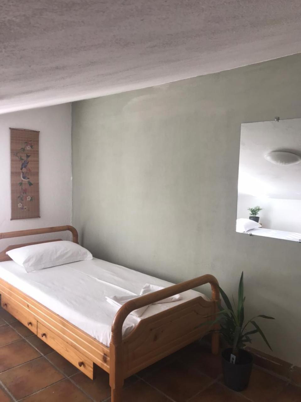 Cozy Big Apartment With Balcony Tirana Exteriör bild